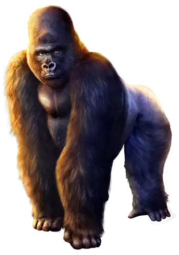 Kongs Temple-4-Kong-Gorilla_350x500px
