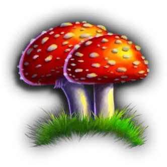Wishing Well-6-Fliegenpilz_400x400px